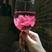 云南特产墨红玫瑰泡水泡酒可打粉无硫农家产品零