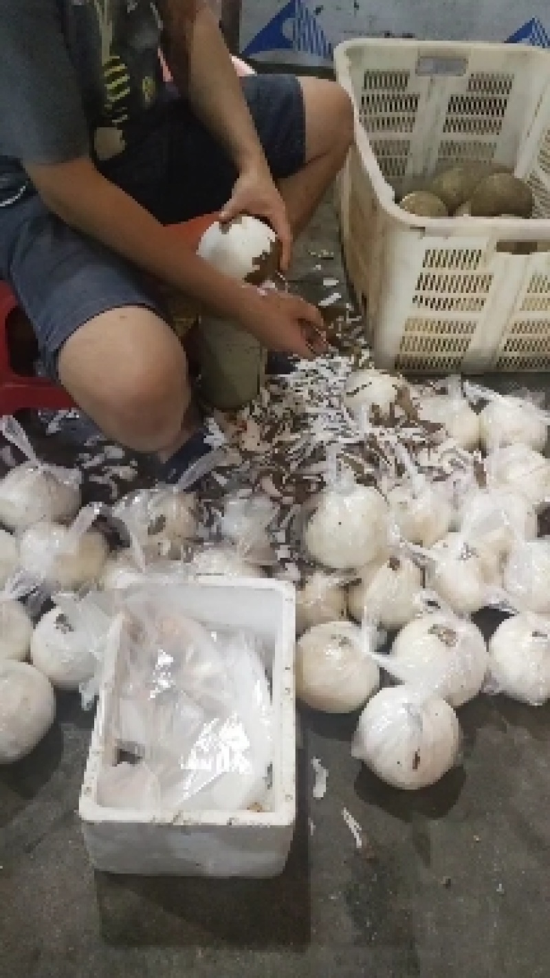 椰子