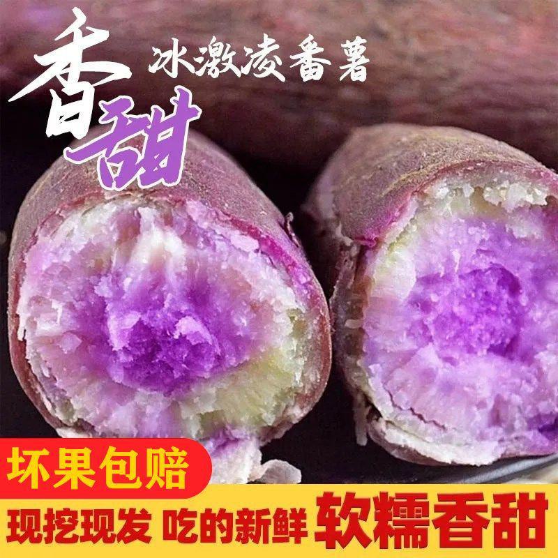 广东沙地红薯《冰激凌番薯》产地直采，品质保证对接电商，市