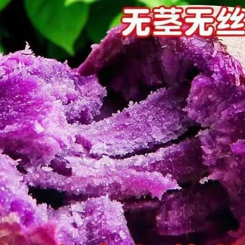 广东沙地红薯《冰激凌番薯》产地直采，品质保证对接电商，市