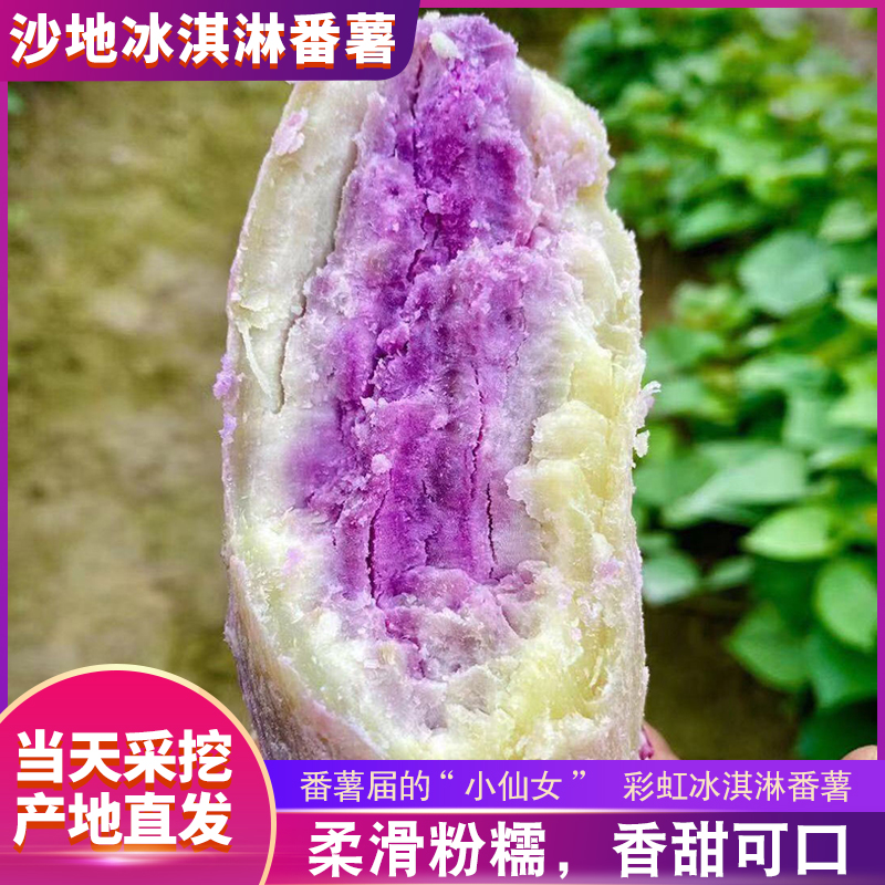 广东沙地红薯《冰激凌番薯》产地直采，品质保证对接电商，市