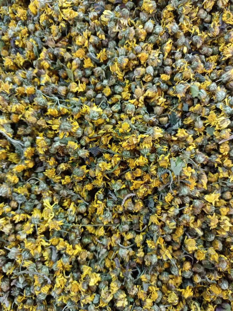 野菊花广西野生菊花初级农副产品现称现装野菊花
