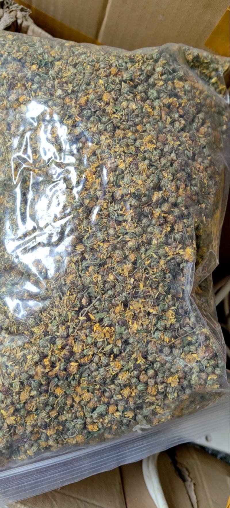 野菊花广西野生菊花初级农副产品现称现装野菊花