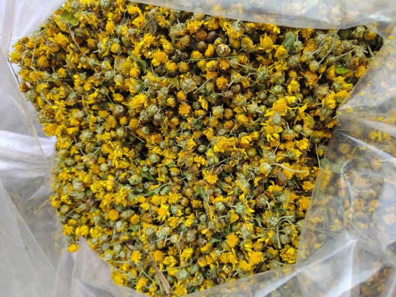 野菊花广西野生菊花初级农副产品现称现装野菊花