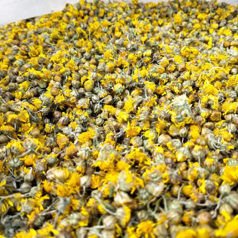 野菊花广西野生菊花初级农副产品现称现装野菊花
