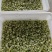 白芋梗白芋蒙