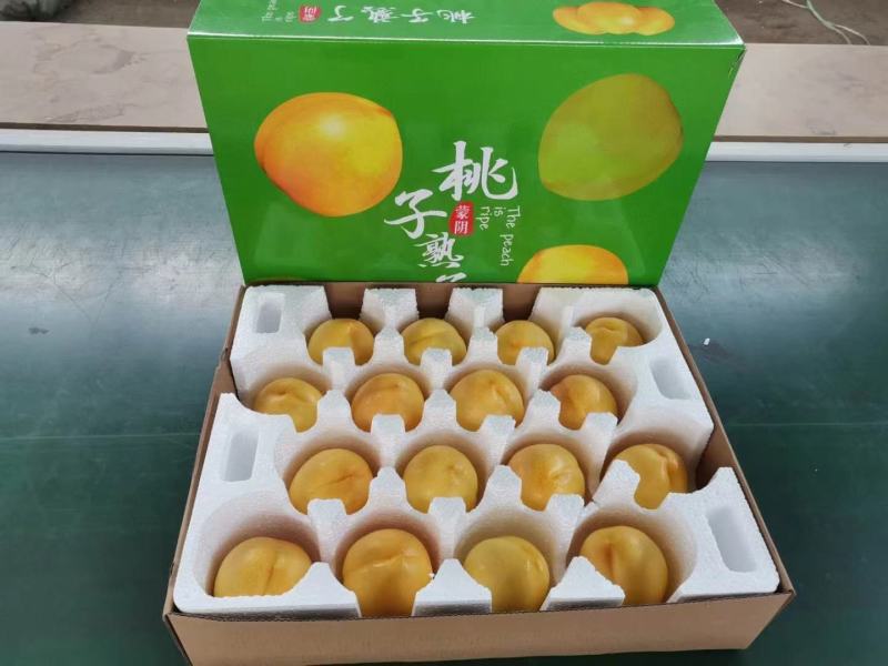 山东大棚油桃新鲜上市，红皮黄肉，纯甜，黄油桃同步上市。