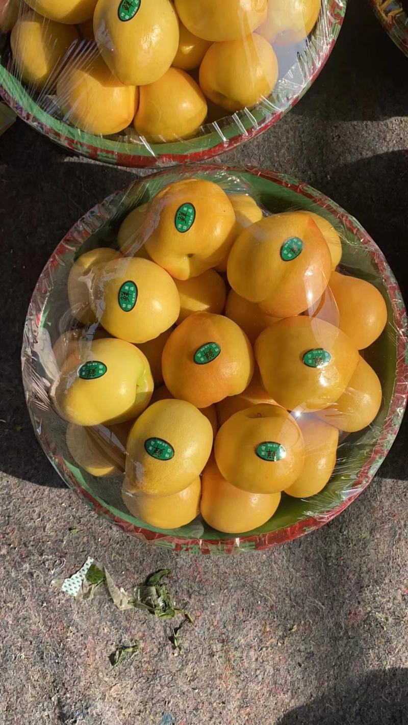 山东大棚油桃新鲜上市，红皮黄肉，纯甜，黄油桃同步上市。