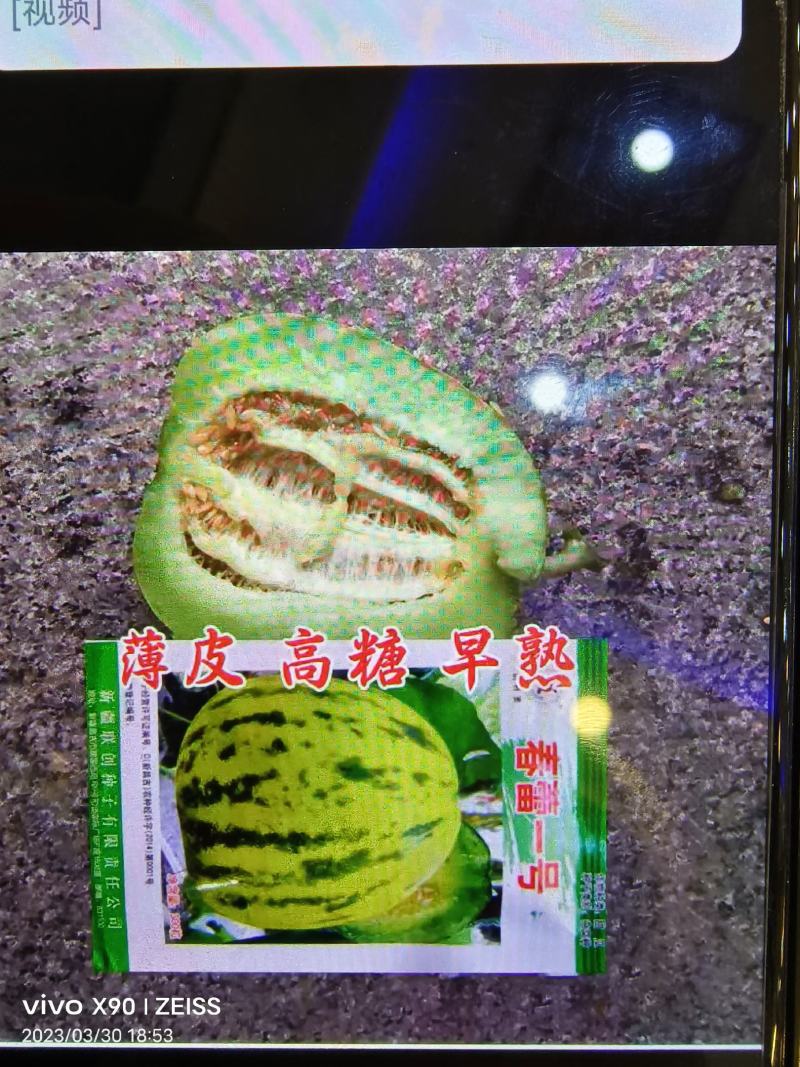 青甜蜜羊角蜜甜瓜种子早熟黑墨绿色肉色淡绿抗病松脆高糖