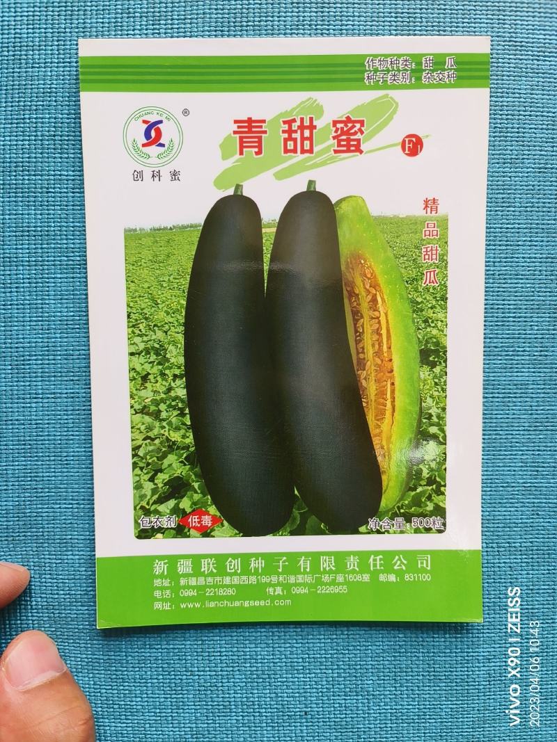 青甜蜜羊角蜜甜瓜种子早熟黑墨绿色肉色淡绿抗病松脆高糖