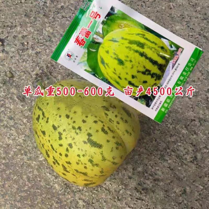 青甜蜜羊角蜜甜瓜种子早熟黑墨绿色肉色淡绿抗病松脆高糖