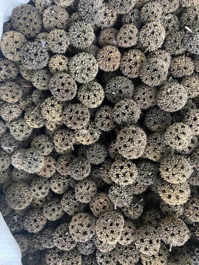 正宗路路通干净无硫泡水泡脚当季新货自然晾晒