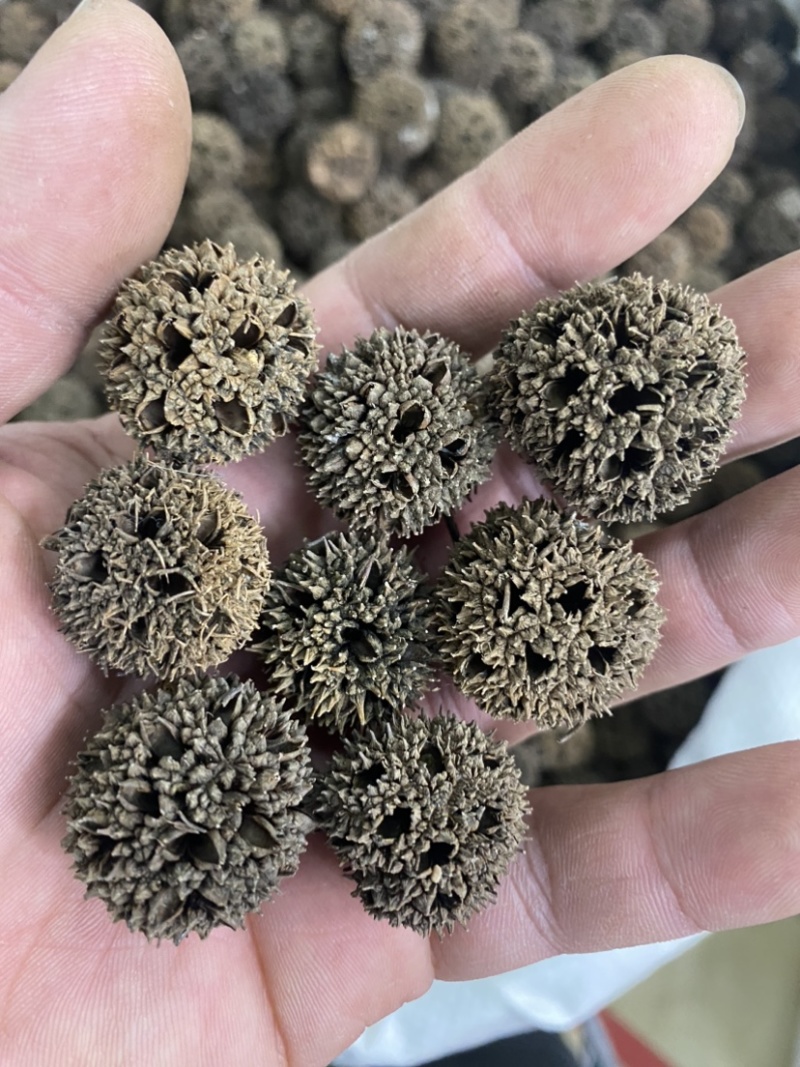 正宗路路通干净无硫泡水泡脚当季新货自然晾晒