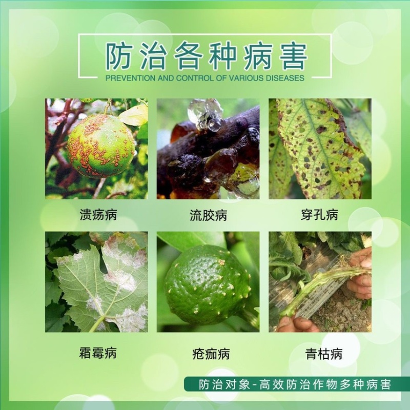 春雷喹啉铜33%桃树穿孔病柑橘溃疡病细菌性角斑病杀菌剂