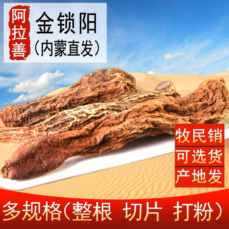 内蒙古阿拉善金锁阳大量上市货源充足