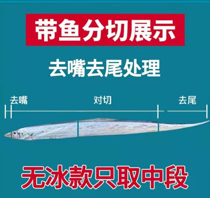 舟山带鱼段特大新鲜东海带鱼段小眼带鱼无冰整箱批发