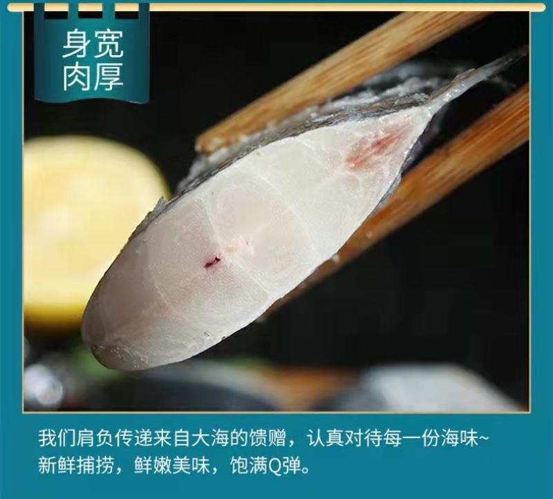 舟山带鱼段特大新鲜东海带鱼段小眼带鱼无冰整箱批发