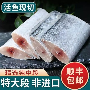舟山带鱼段特大新鲜东海带鱼段小眼带鱼无冰整箱批发