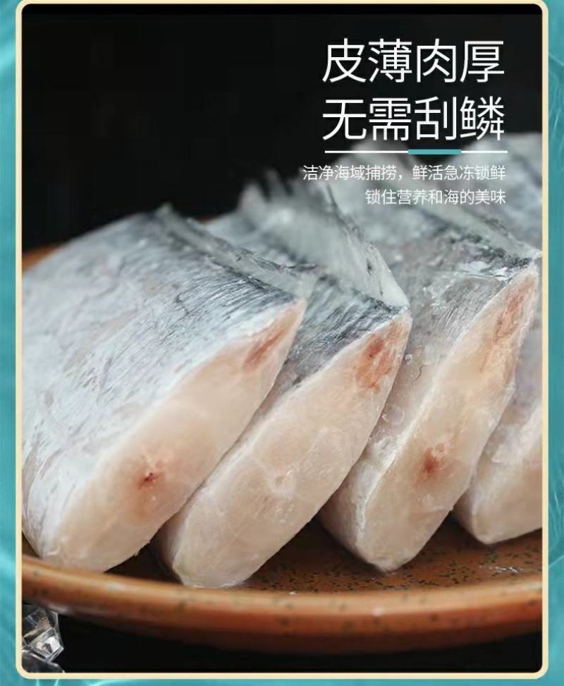 舟山带鱼段特大新鲜东海带鱼段小眼带鱼无冰整箱批发