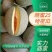 海南乐东县哈蜜瓜晓蜜25哈密瓜一手货源品种齐全