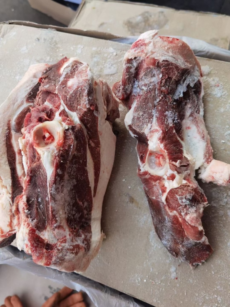 羔羊胯骨，满肉，新货，郑州现货，量大从优