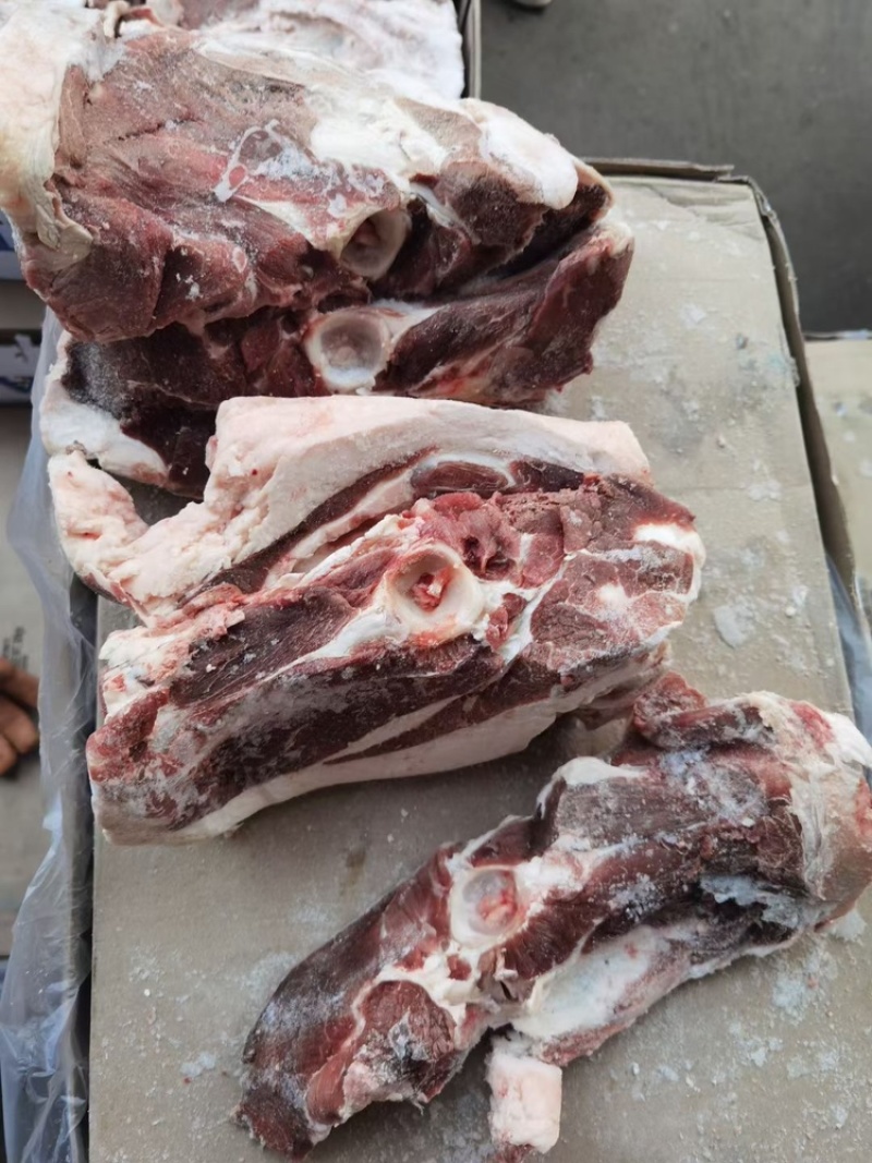 羔羊胯骨，满肉，新货，郑州现货，量大从优