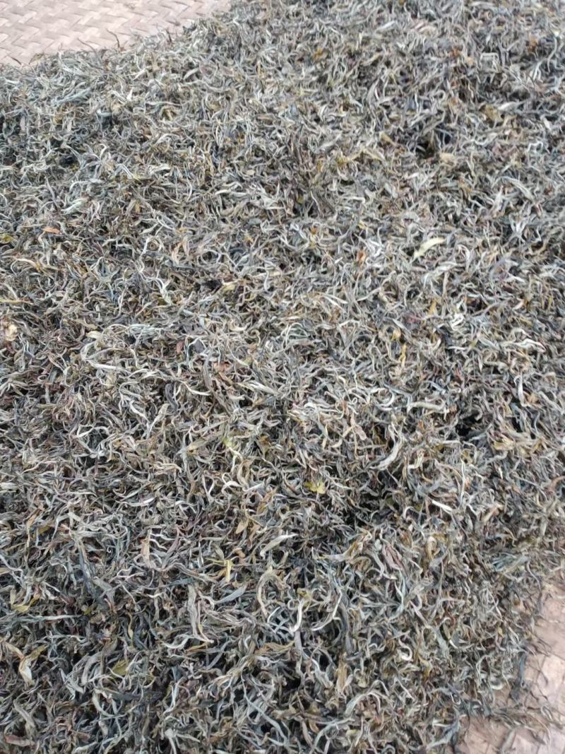 南板古树茶