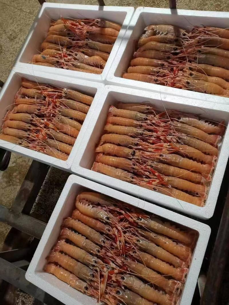 海鳌虾，一箱5斤，批发价95元一箱
