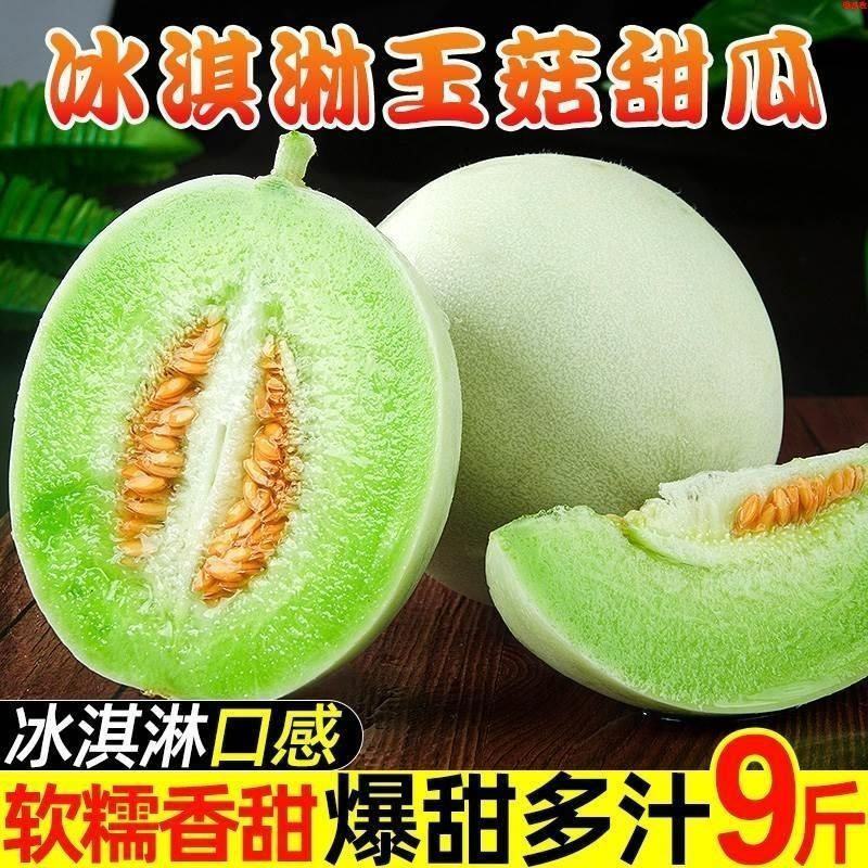 品质玉菇甜瓜一件代发产地直发电商代发稳定供应高性价比