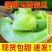 品质玉菇甜瓜一件代发产地直发电商代发稳定供应高性价比