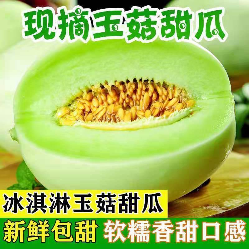品质玉菇甜瓜一件代发产地直发电商代发稳定供应高性价比