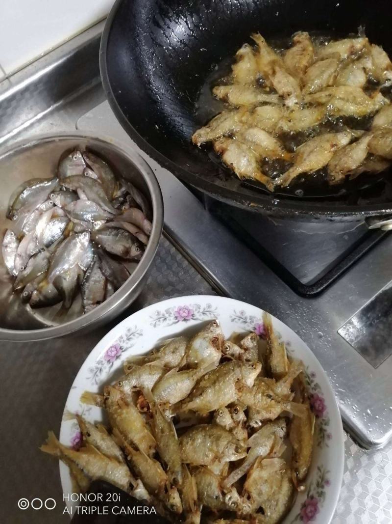鳑鲏鱼，开肚去内脏适合，煎炒烹炸，休闲美味佳肴！