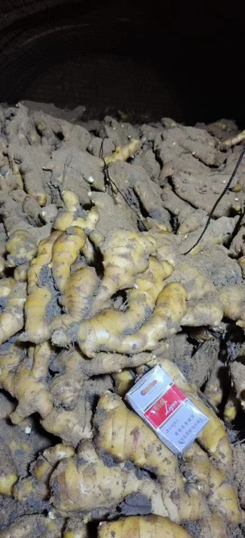 青苗莱州生姜基地现货直发保质保量价格可谈欢迎致电
