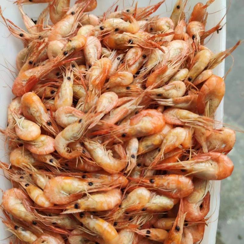 湖南河虾速冻河虾冰鲜虾一手货源产地直发可水煮油炸