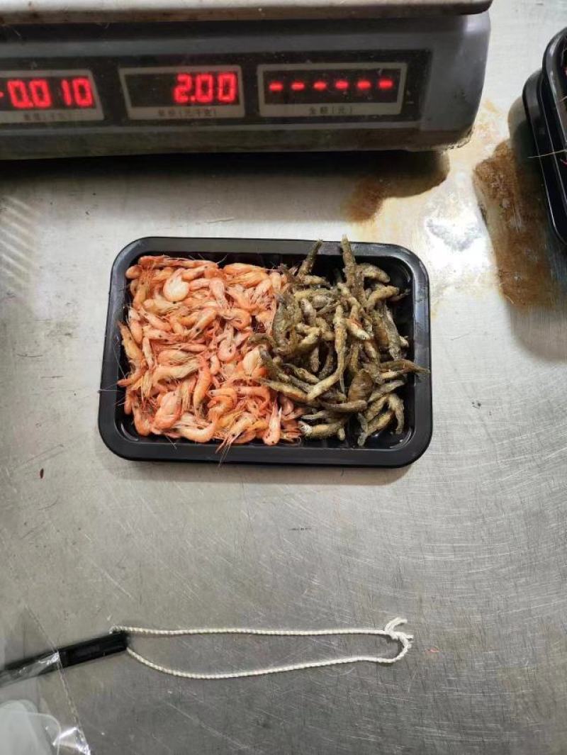 湖南河虾速冻河虾冰鲜虾一手货源产地直发可水煮油炸