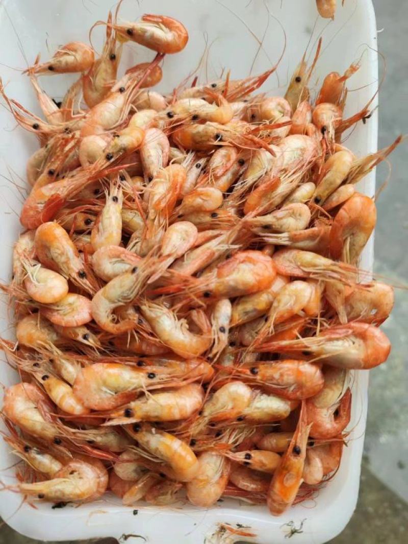 湖南河虾速冻河虾冰鲜虾一手货源产地直发可水煮油炸