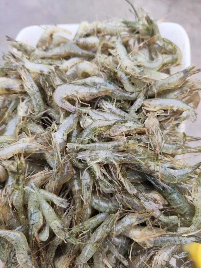 湖南河虾速冻河虾冰鲜虾一手货源产地直发可水煮油炸