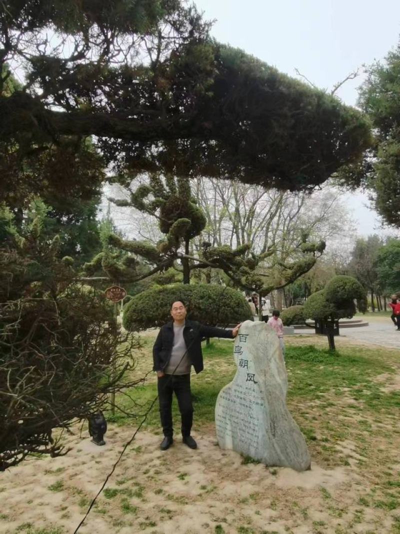 通许精品红帽蒜苔，现摘现发，产地直供，质量保证全国发货