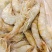 渤海南美白对虾