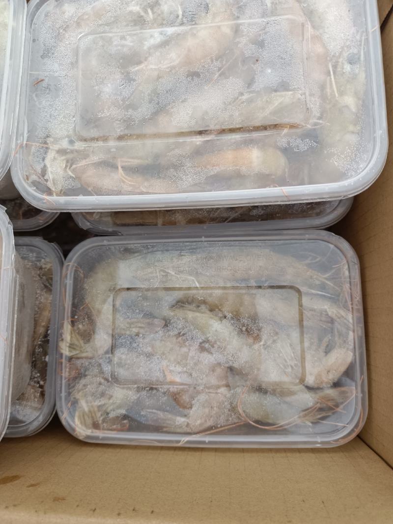 渤海南美白对虾
