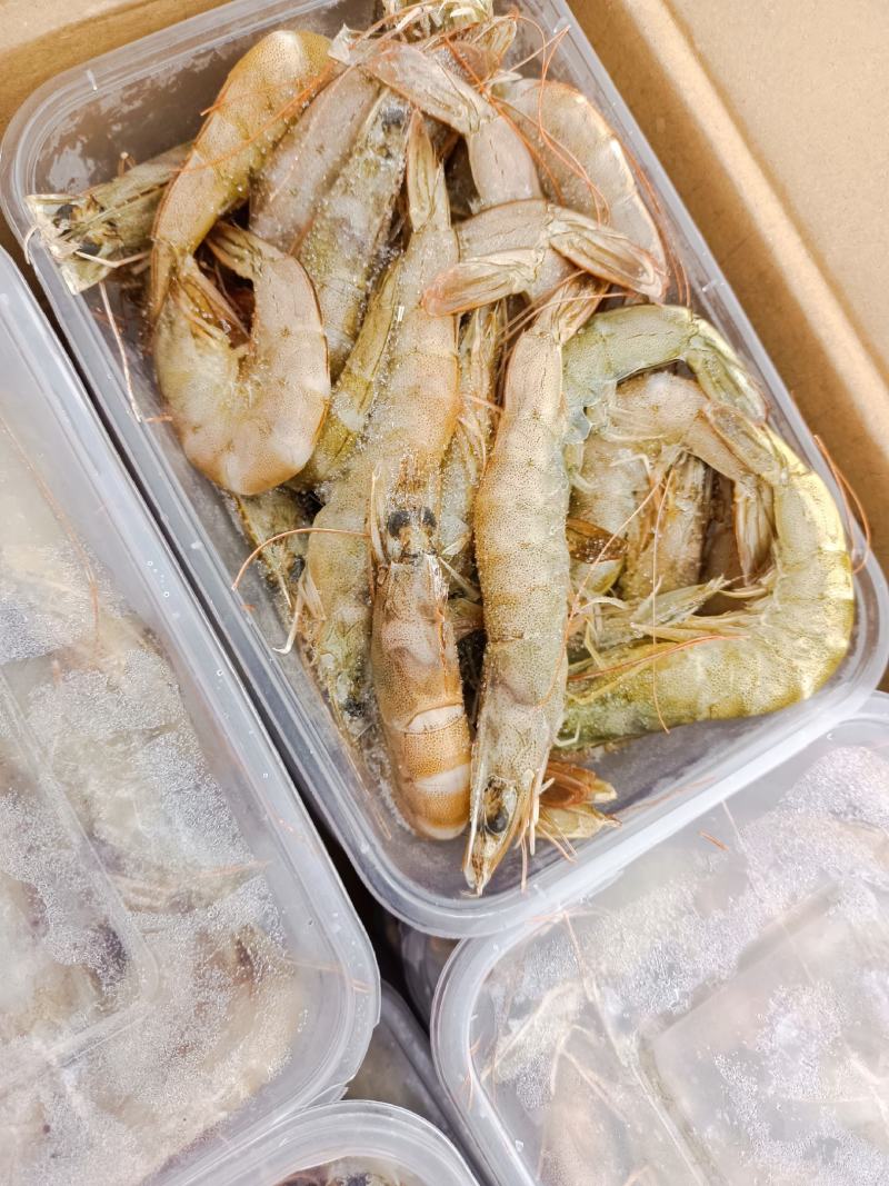 渤海南美白对虾