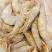 渤海南美白对虾