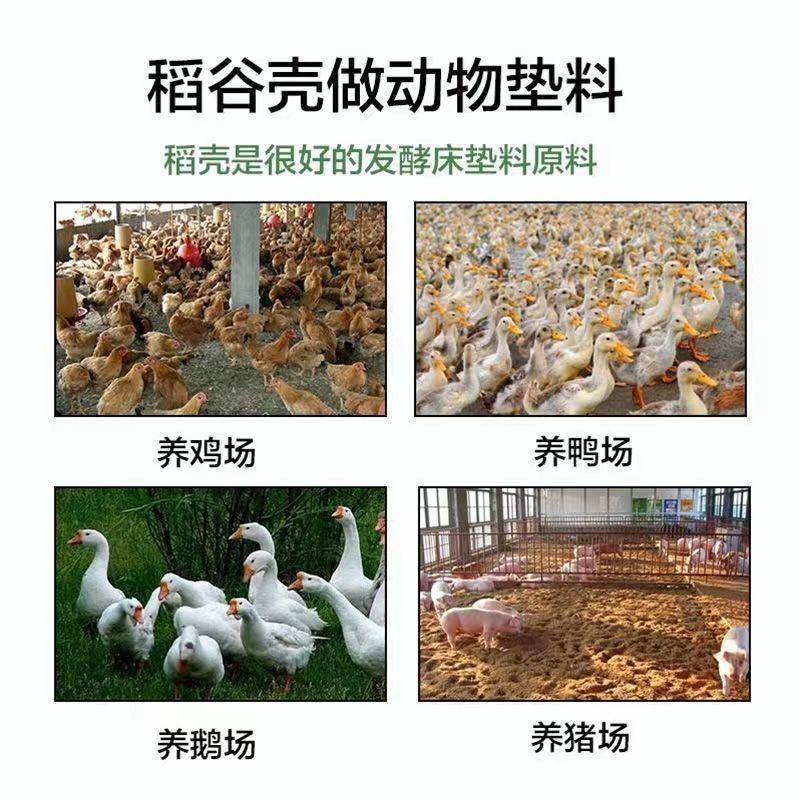 稻壳新鲜稻壳谷壳酿酒枕头填充干净种花养草新鲜包邮谷壳枕头
