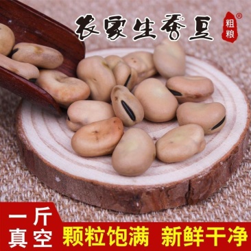崇礼生蚕豆5斤新鲜农家自种胡豆罗汉豆可发芽蚕豆种子白