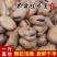 崇礼生蚕豆5斤新鲜农家自种胡豆罗汉豆可发芽蚕豆种子白
