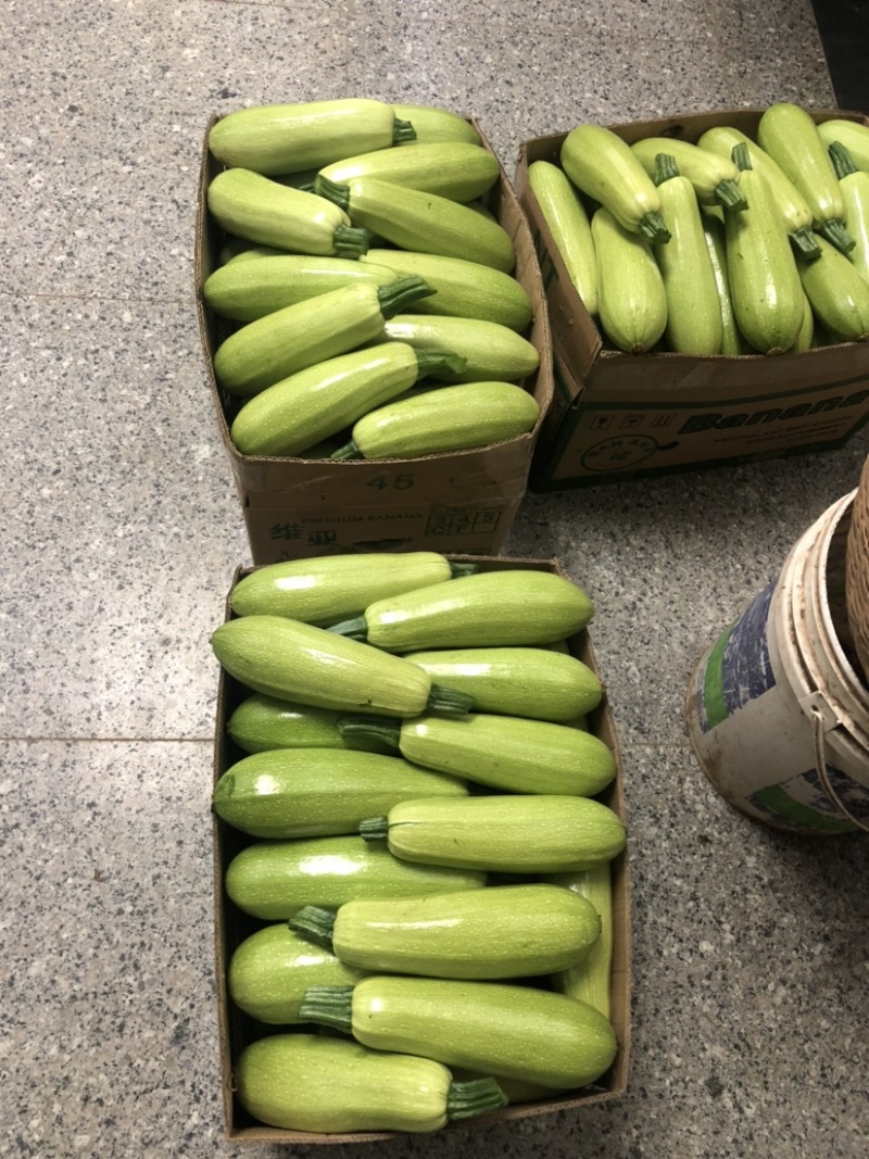 绿皮西葫芦翠绿大小合适。口感佳上新鲜采摘