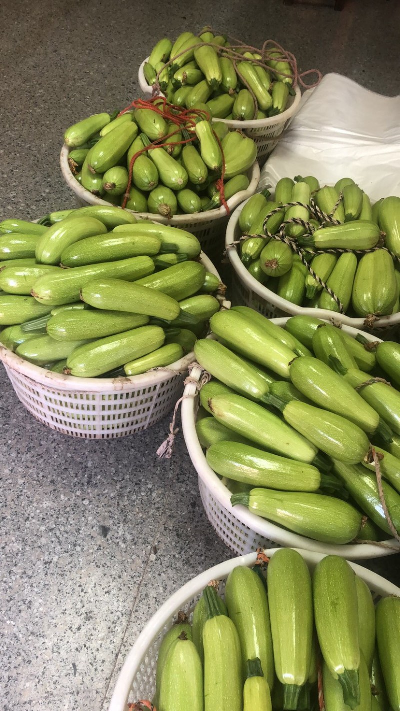 绿皮西葫芦翠绿大小合适。口感佳上新鲜采摘