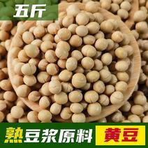 烘焙熟黄豆豆浆原料包商用打豆浆用现磨五谷杂粮干豆炒豆子