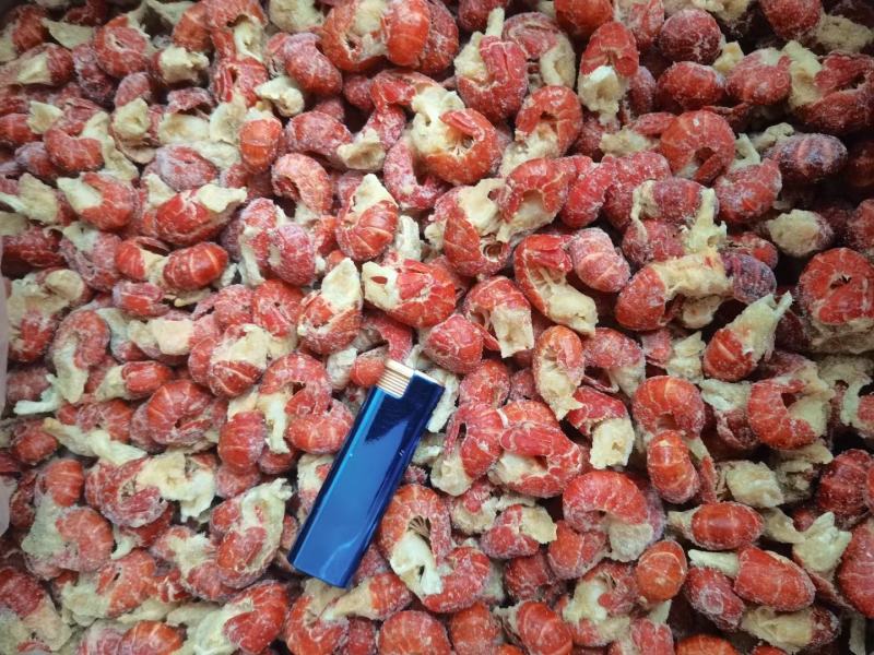 特大原料龙虾尾净重20斤95粒左右下料