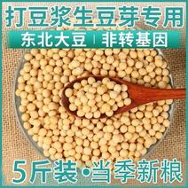 东北黑龙江黄豆豆浆农家自产大黄豆5斤五谷杂粮豆浆非转基因